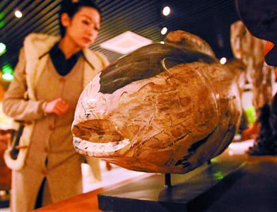 宝山下周举办木文化节 上海木文化博物馆将于同时揭幕