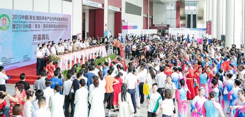 2020中国山东(青岛)国际养老产业与养老服务博览会往届图集