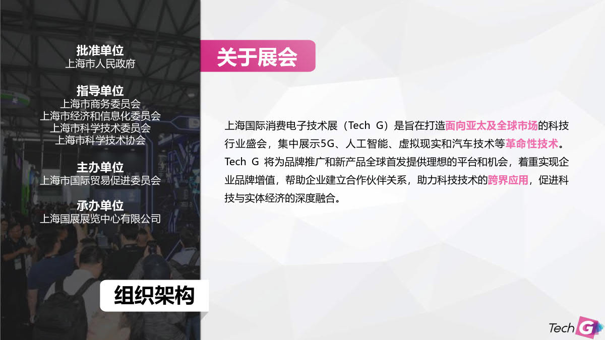 2023上海国际消费电子技术展插图1